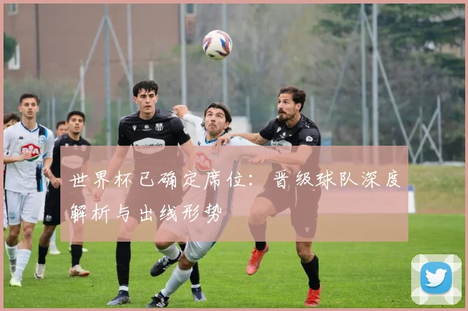 世界杯已确定席位：晋级球队深度解析与出线形势