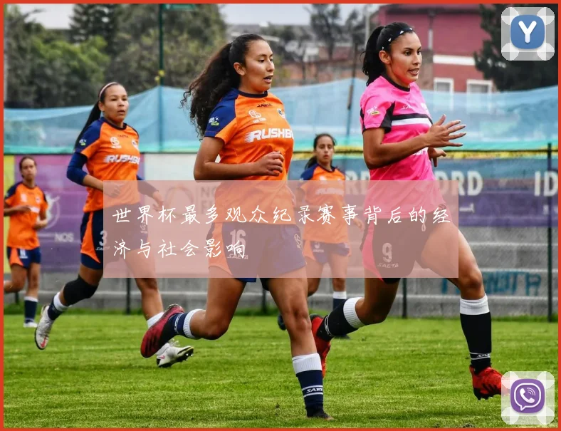 世界杯最多观众纪录赛事背后的经济与社会影响