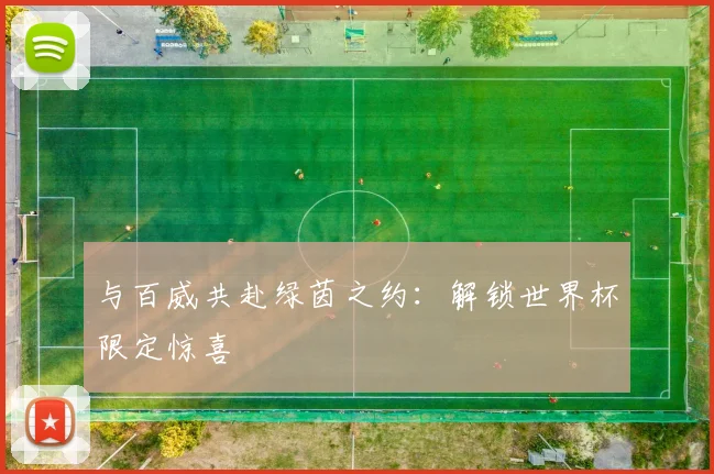 与百威共赴绿茵之约:解锁世界杯限定惊喜