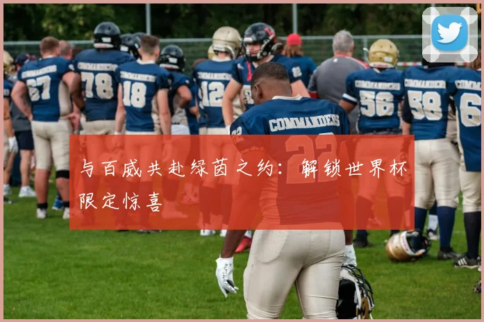 与百威共赴绿茵之约：解锁世界杯限定惊喜