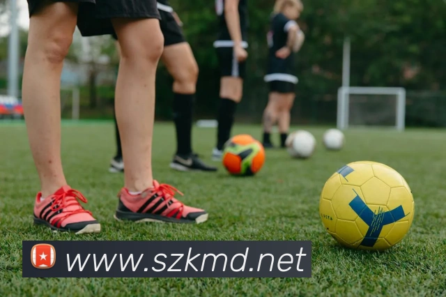 乐竞平台首页发展历程