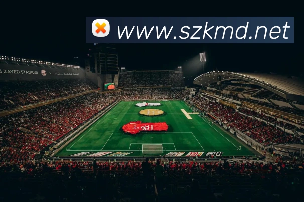 奖项图2